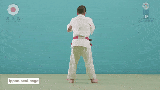 Ippon-seoi-nage technique preview
