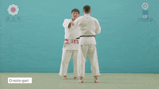 O-soto-gari technique preview