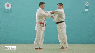 Uchi-mata technique preview